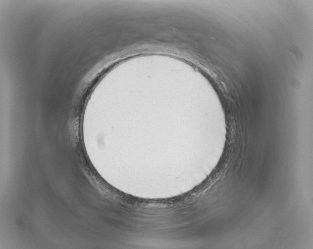 X0000114491503200911301055