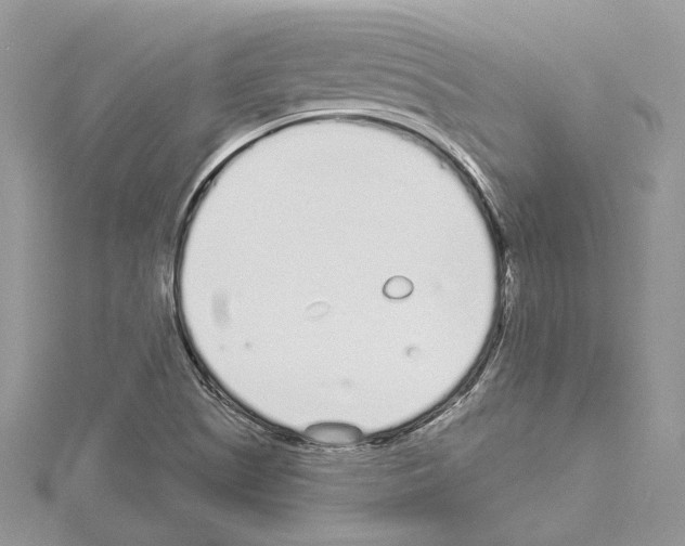 X0000114491505200911301055