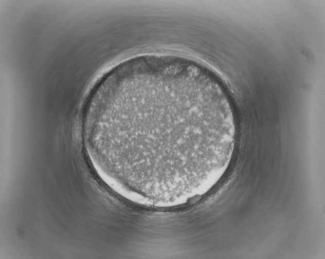 X0000114491506200911301055