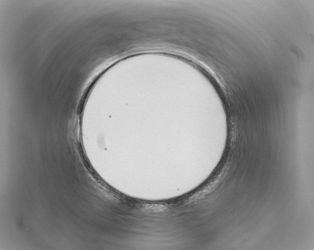 X0000114491509200911301055