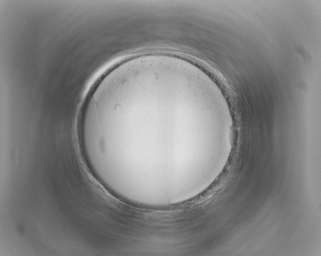 X0000114491510200911301055