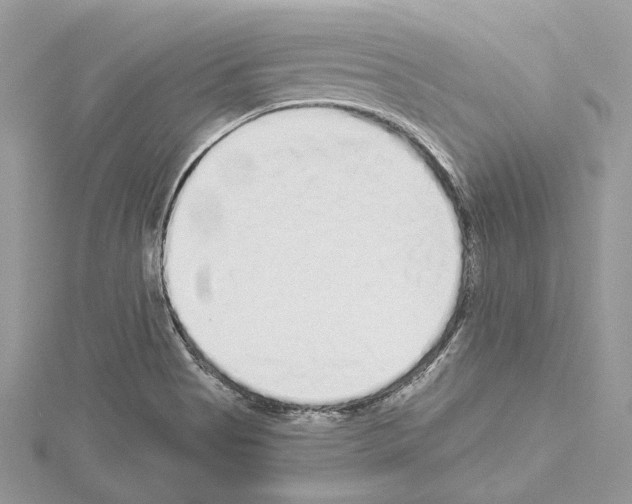 X0000114491513200911301055