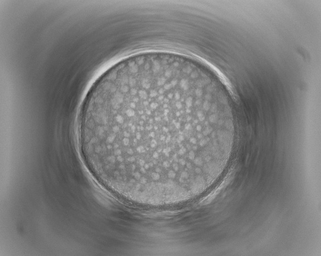 X0000114491514200911301055