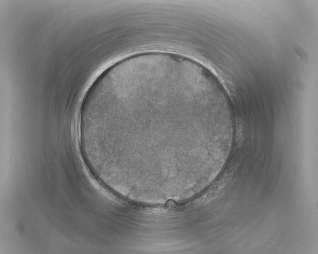 X0000114491515200911301055