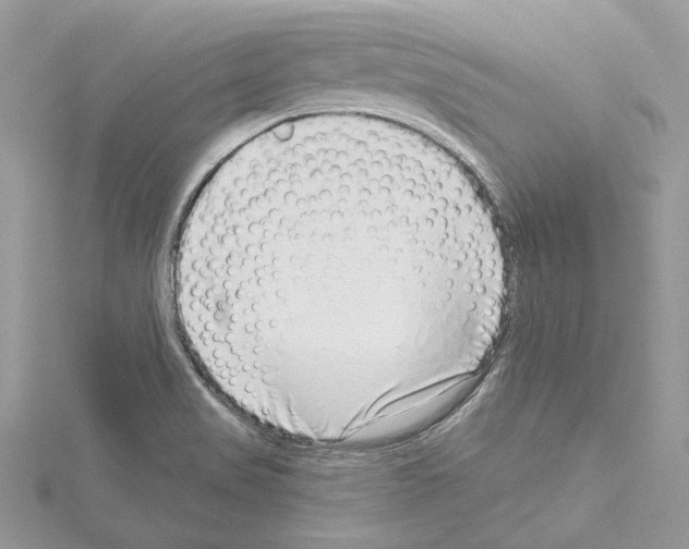 X0000114491517200911301055