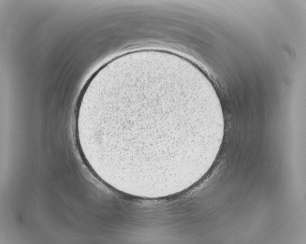 X0000114491518200911301055