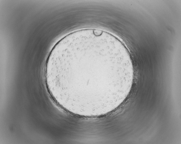 X0000114491519200911301055