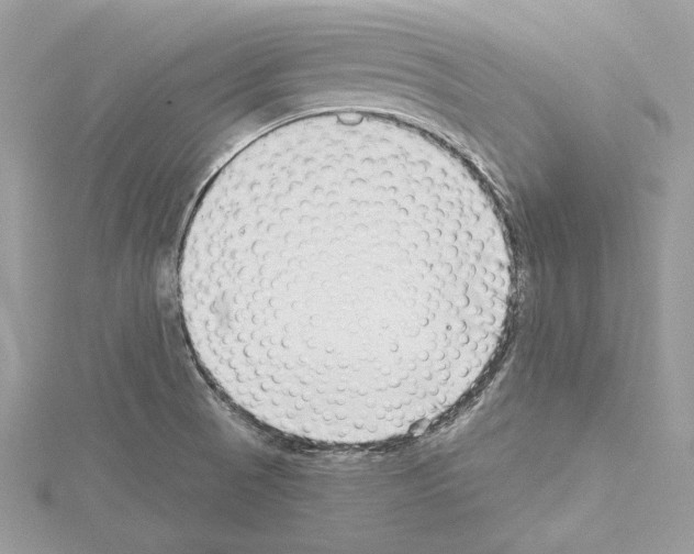 X0000114491521200911301055