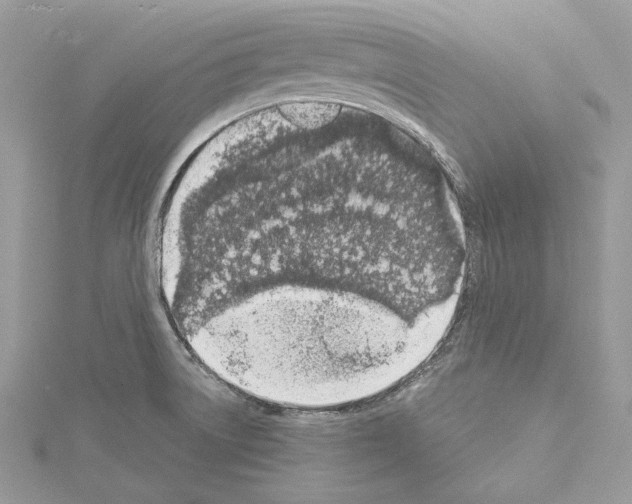 X0000114491522200911301055