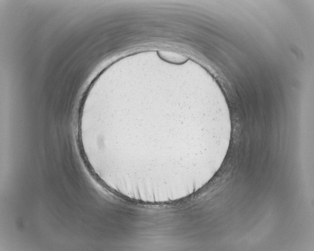 X0000114491523200911301055