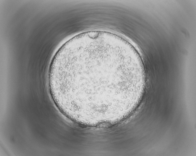 X0000114491525200911301055