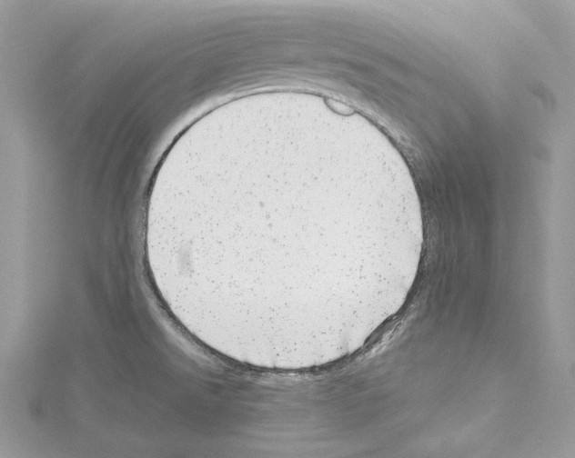 X0000114491526200911301055