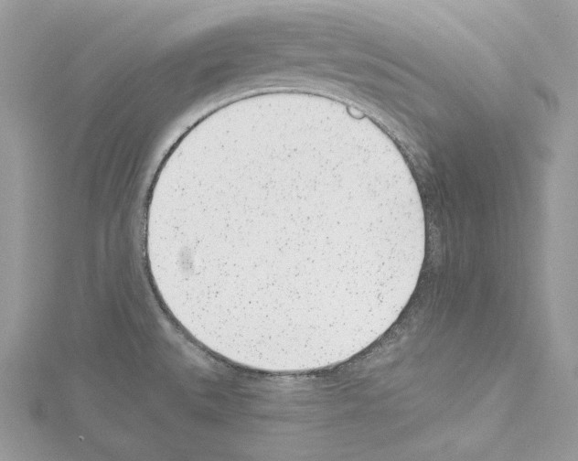 X0000114491527200911301055