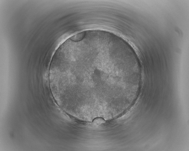 X0000114491529200911301055