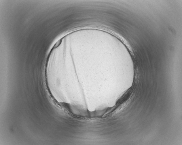 X0000114491530200911301055