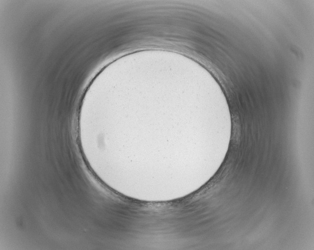 X0000114491531200911301055