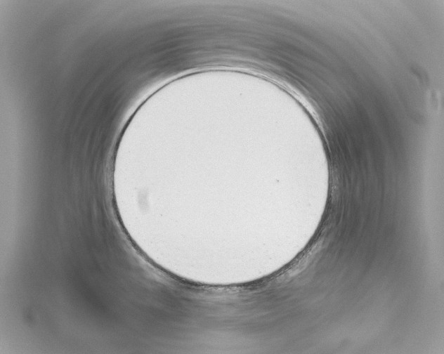 X0000114491533200911301055