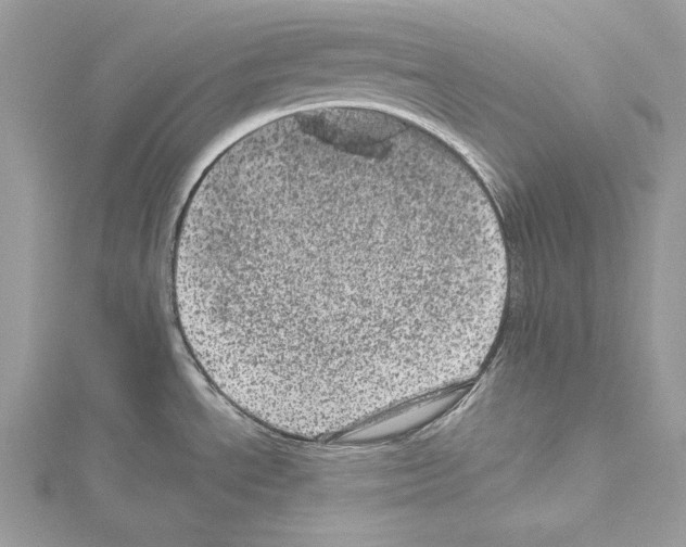 X0000114491534200911301055