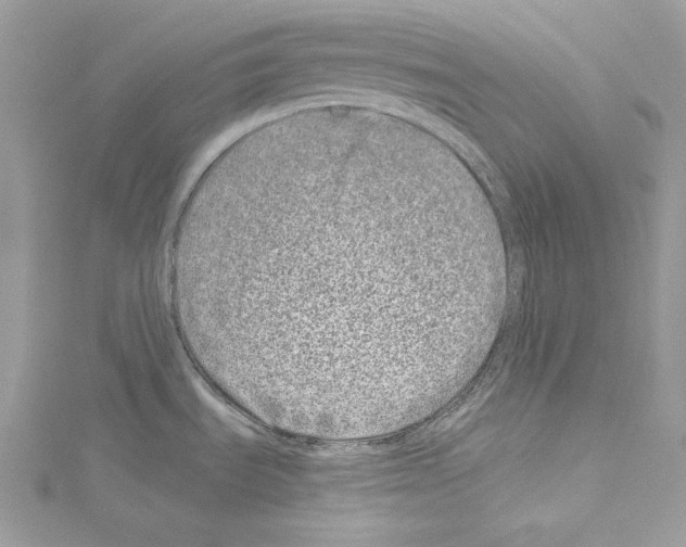 X0000114491535200911301055