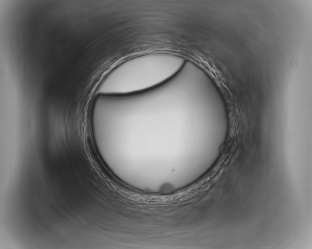 X0000114500002200910191146