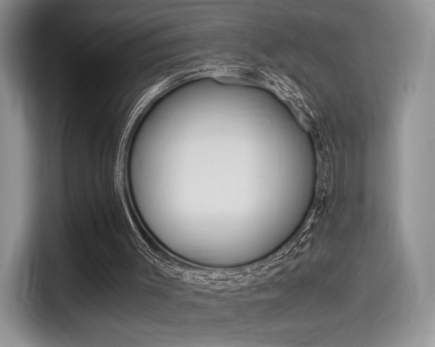 X0000114500003200910191146