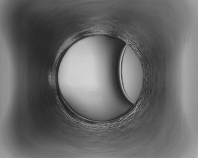 X0000114500004200910191146