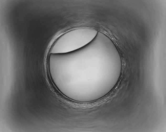 X0000114500006200910191146