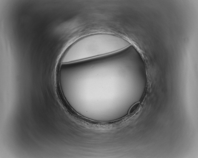 X0000114500008200910191146