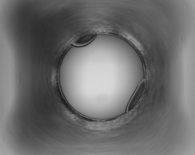 X0000114500009200910191146