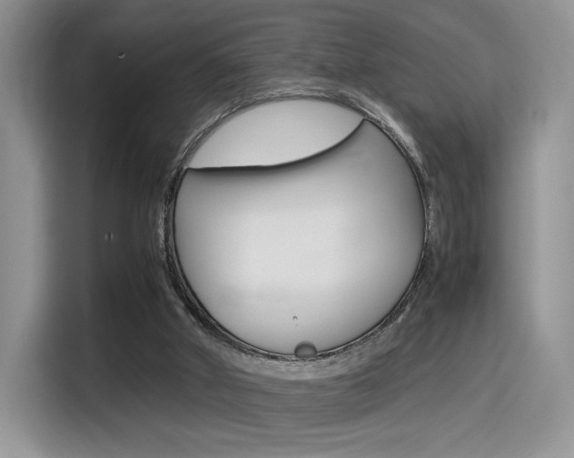 X0000114500010200910191146