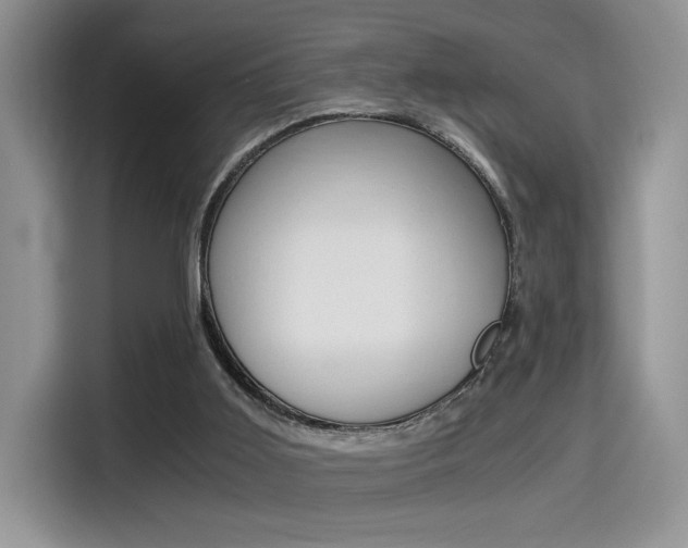 X0000114500011200910191146