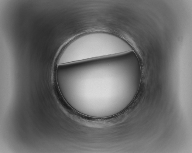 X0000114500012200910191146