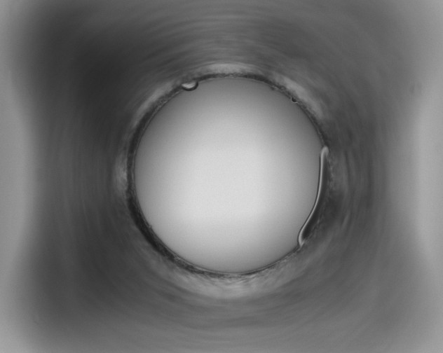 X0000114500015200910191146