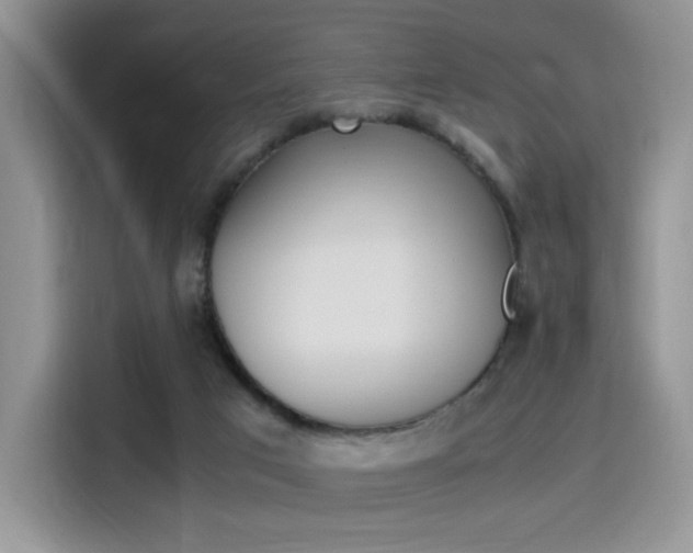 X0000114500017200910191146