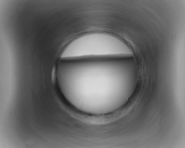 X0000114500024200910191145