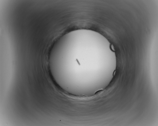 X0000114500040200910191145