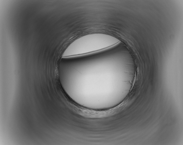 X0000114500048200910191145