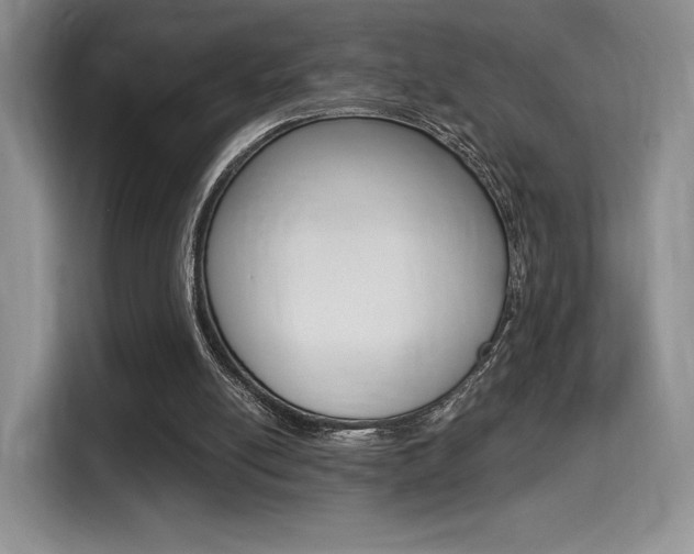 X0000114500054200910191145
