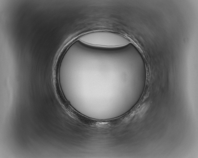 X0000114500055200910191145
