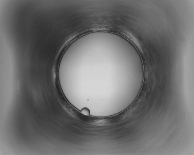 X0000114500059200910191145