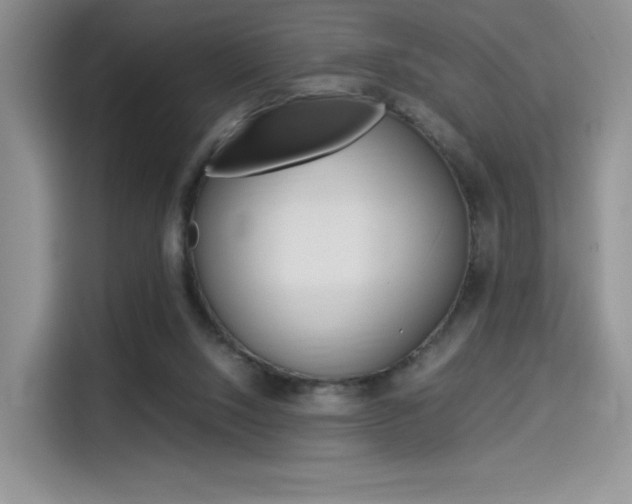 X0000114500064200910191145