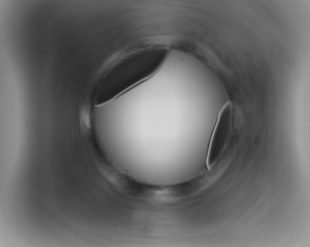 X0000114500068200910191145