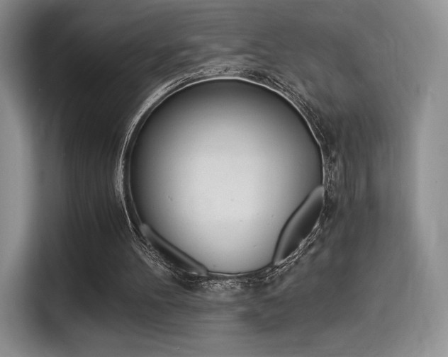 X0000114500100200910191144