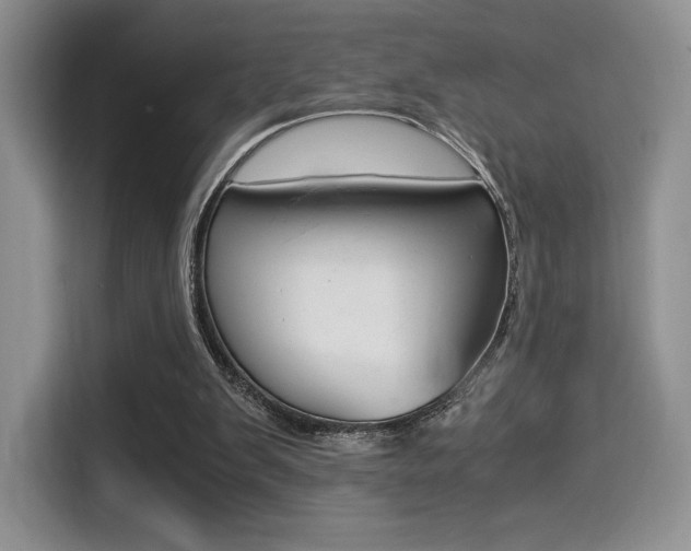 X0000114500103200910191144