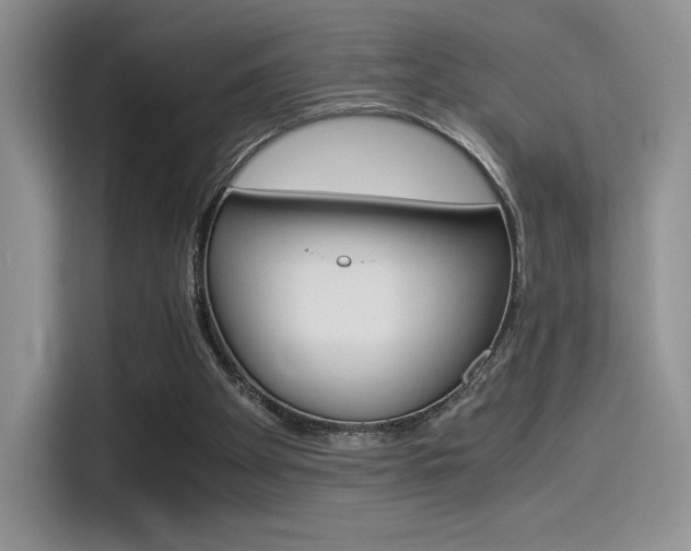 X0000114500105200910191144