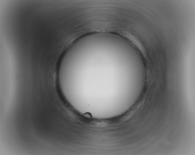 X0000114500113200910191144