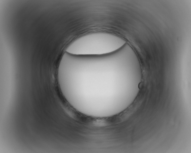 X0000114500114200910191144