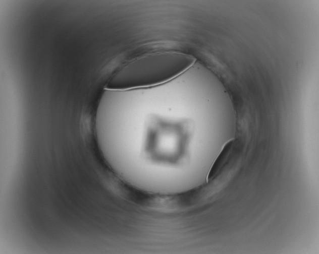 X0000114500117200910191144