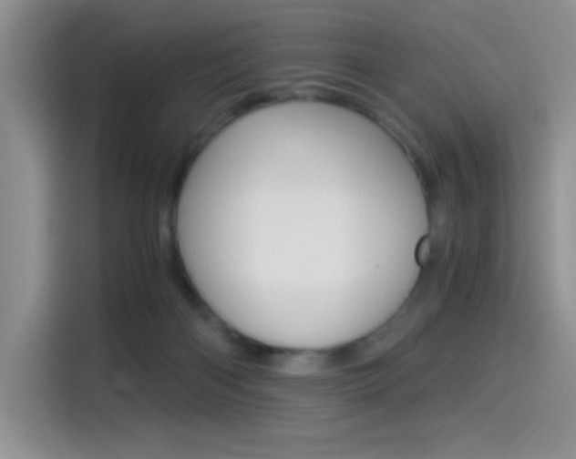 X0000114500122200910191144
