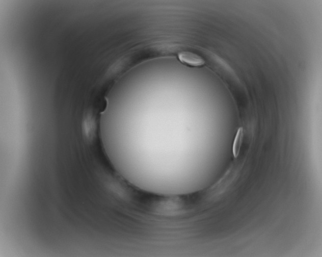 X0000114500124200910191144
